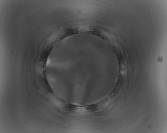 X0000091880519200710031744