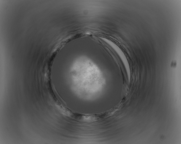 X0000091880520200710031744