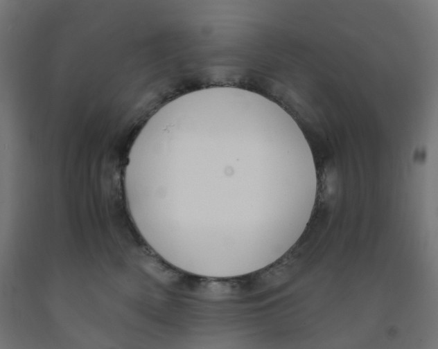 X0000091880522200710031744