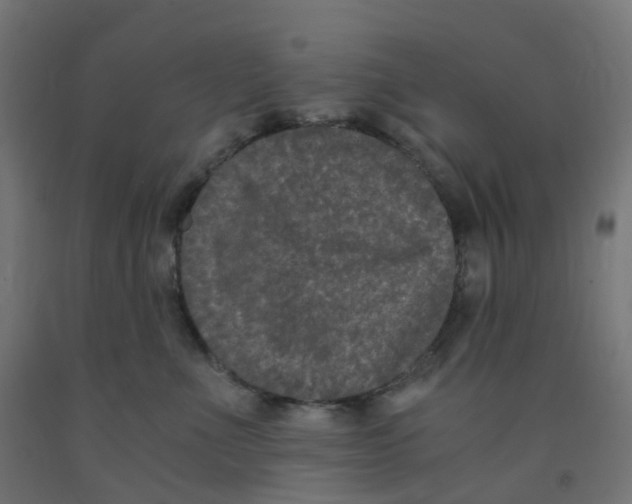 X0000091880523200710031744