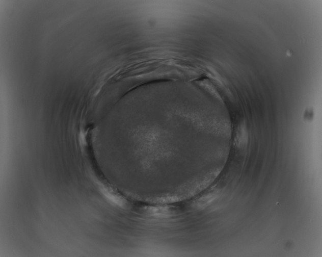 X0000091880524200710031744