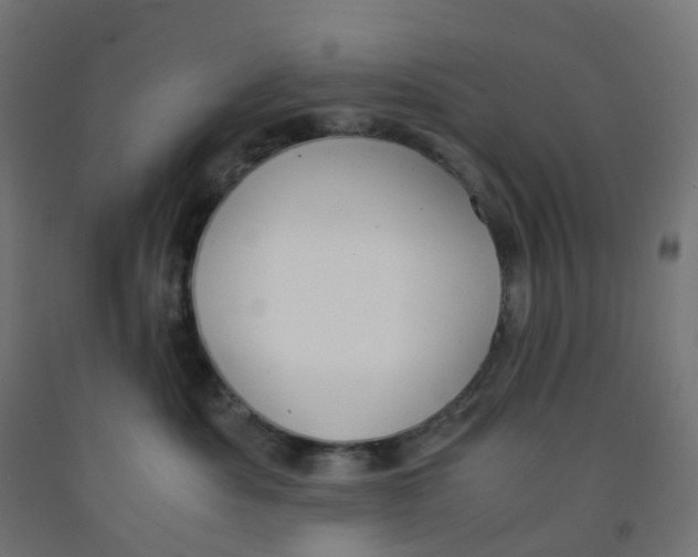 X0000091880525200710031744