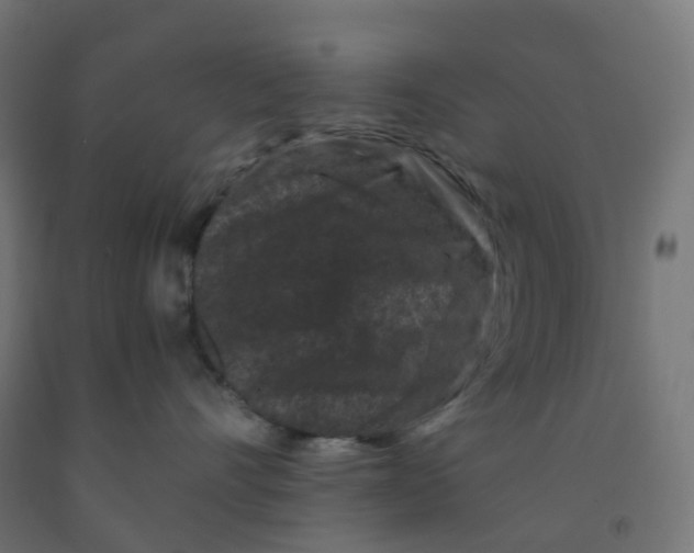 X0000091880528200710031744