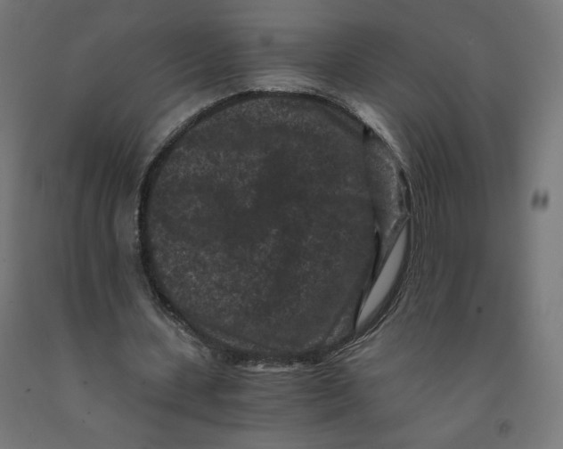 X0000091880531200710031743