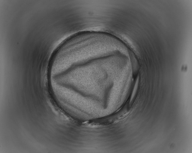 X0000091880532200710031743