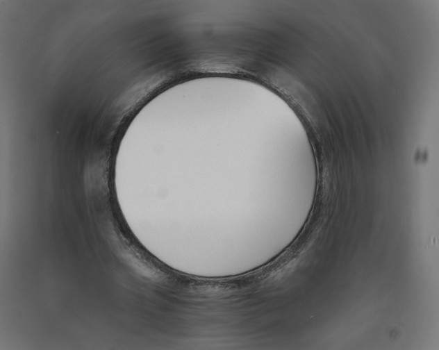 X0000091880533200710031743