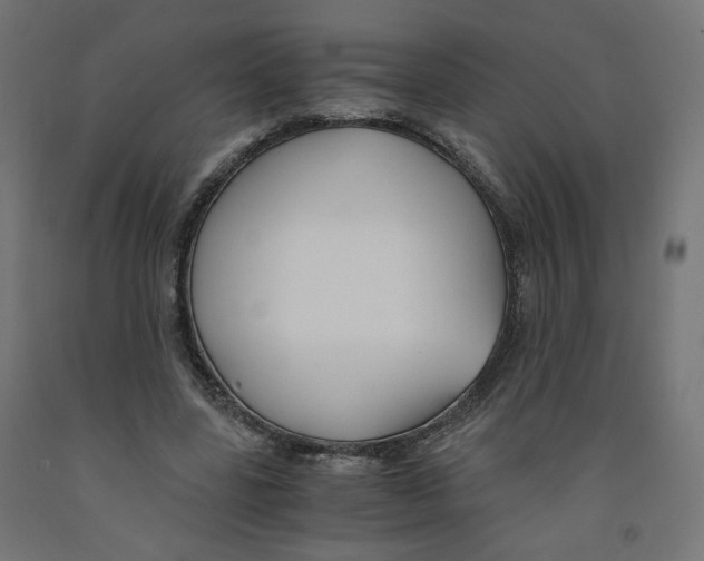 X0000091880539200710031743