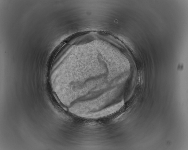 X0000091880540200710031743