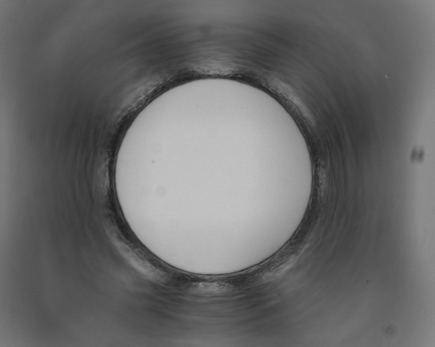 X0000091880541200710031743