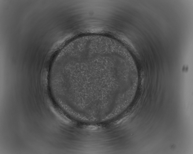 X0000091880542200710031743