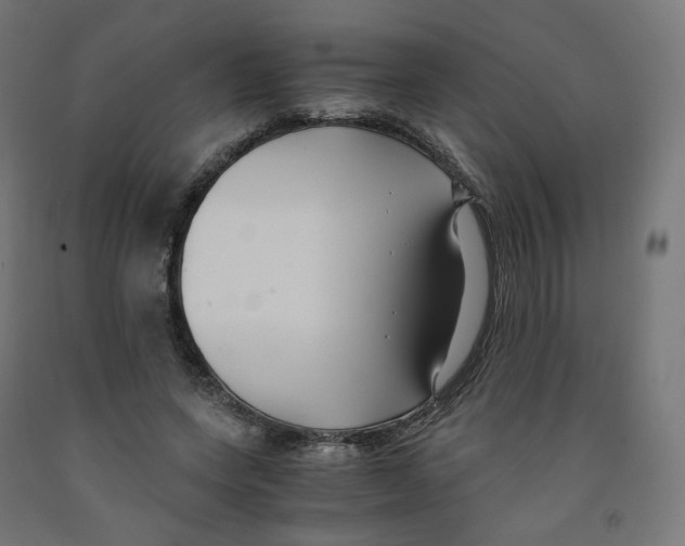 X0000091880543200710031743