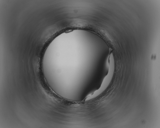 X0000091880544200710031743