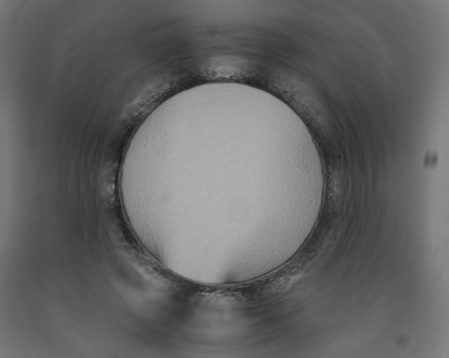 X0000091880545200710031743