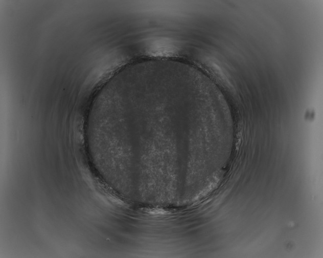 X0000091880547200710031743