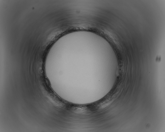 X0000091880548200710031743