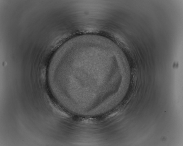 X0000091880550200710031743