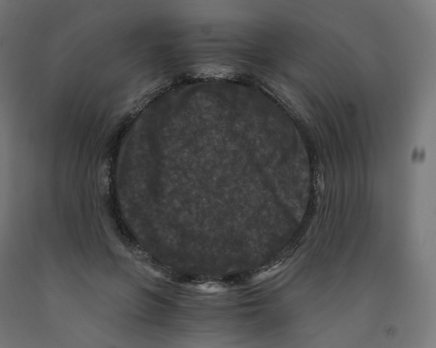 X0000091880551200710031744