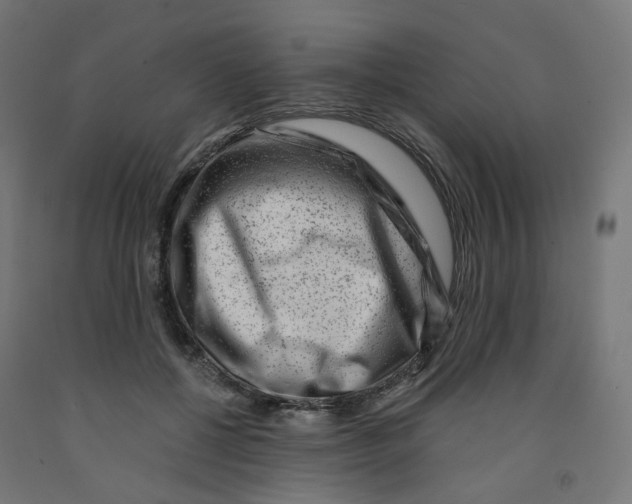 X0000091880552200710031744