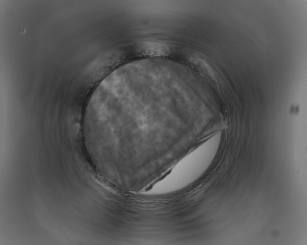 X0000091880553200710031744