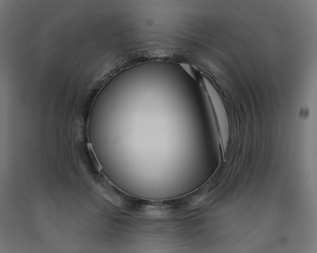 X0000091880556200710031744