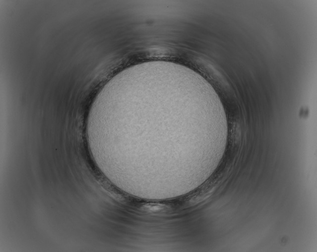 X0000091880557200710031744