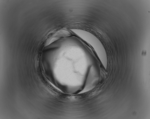 X0000091880558200710031744