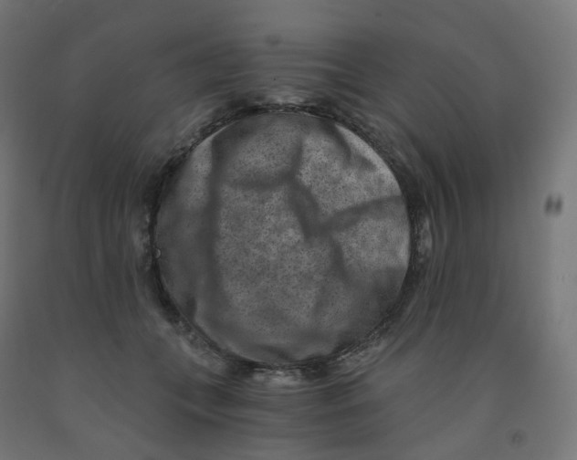 X0000091880559200710031744