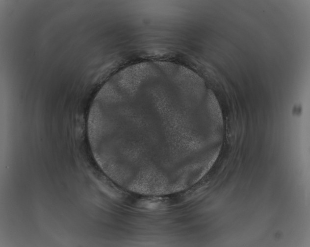 X0000091880563200710031744