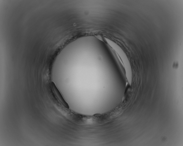 X0000091880564200710031744