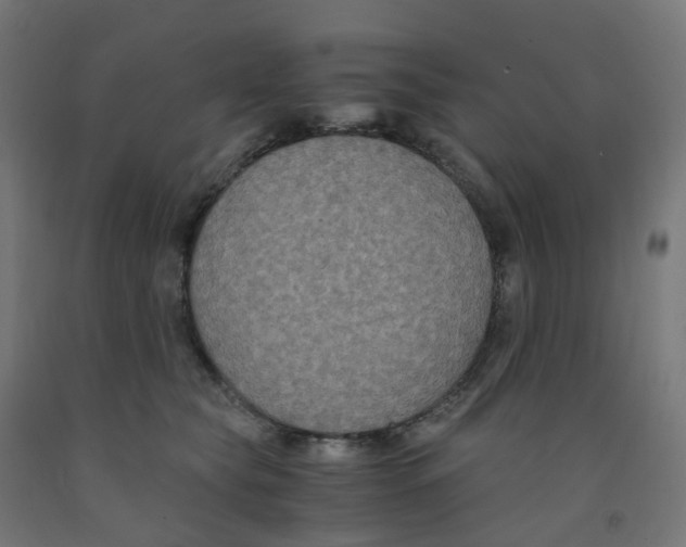 X0000091880565200710031744