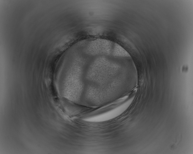 X0000091880566200710031744