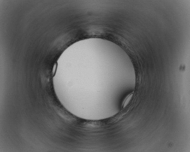 X0000091880567200710031744