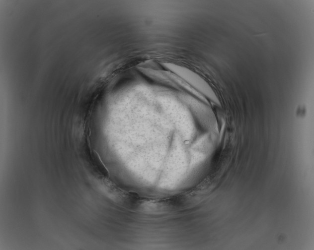 X0000091880568200710031744