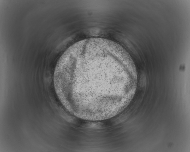 X0000091880569200710031744