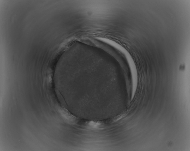 X0000091880570200710031744