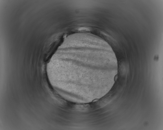 X0000091880571200710031744