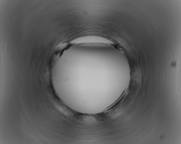 X0000091880572200710031744