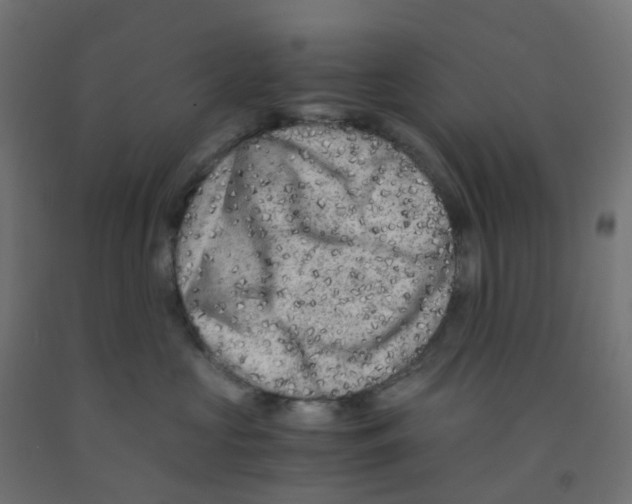 X0000091880573200710031744