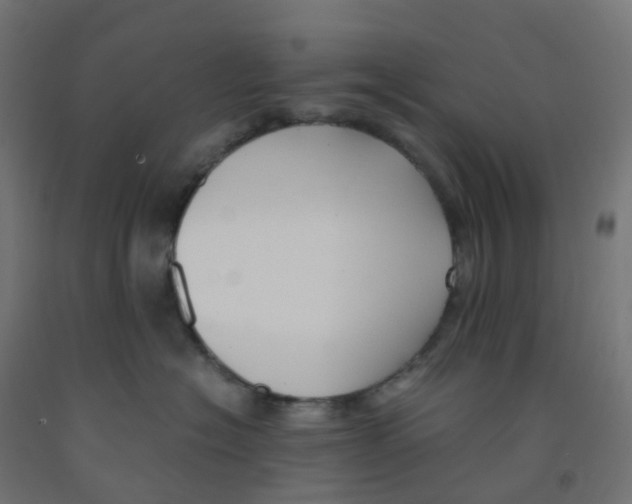 X0000091880574200710031744