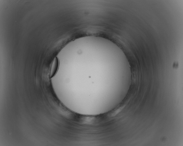 X0000091880575200710031744