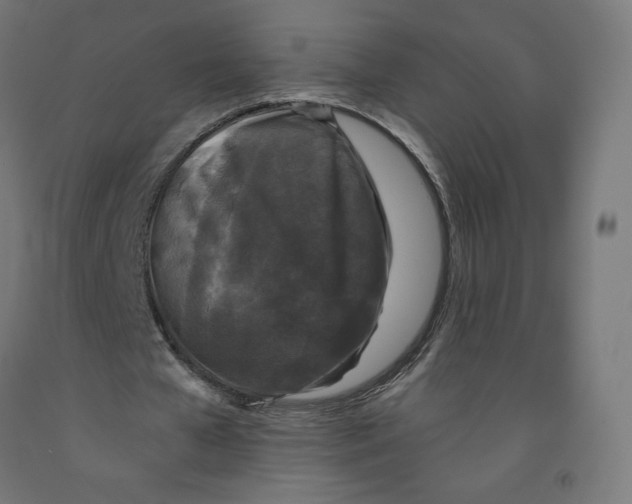 X0000091880577200710031743