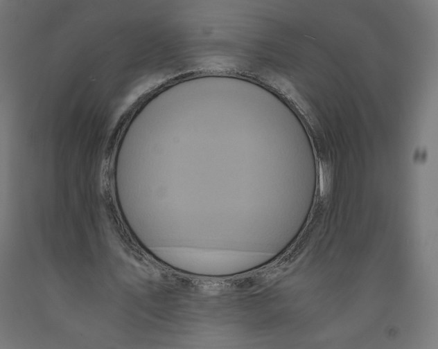 X0000091880579200710031743