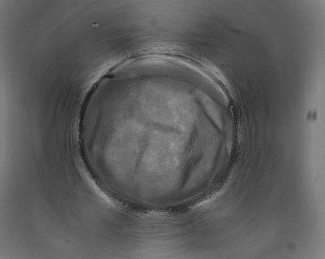 X0000091880581200710031743