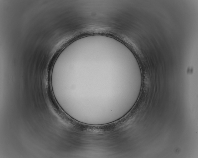 X0000091880582200710031743