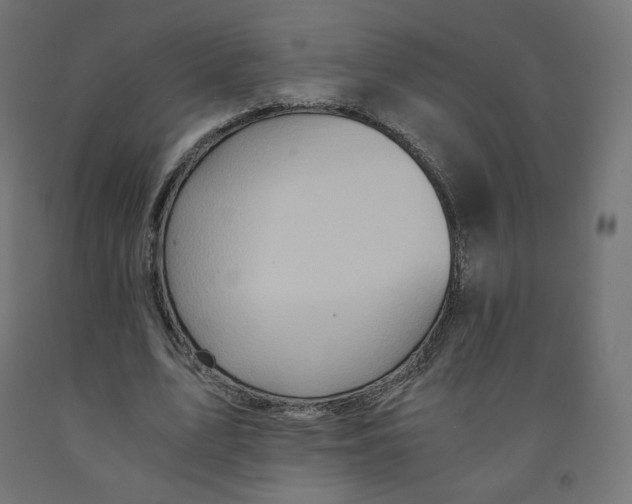 X0000091880583200710031743