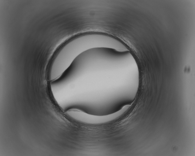 X0000091880584200710031743