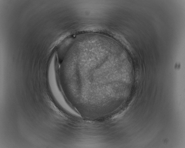 X0000091880585200710031743