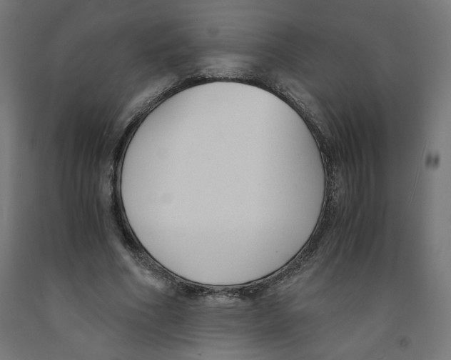 X0000091880586200710031743