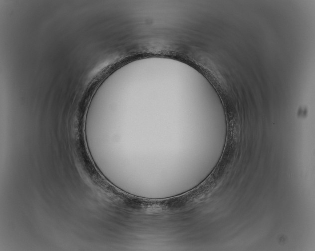 X0000091880587200710031743