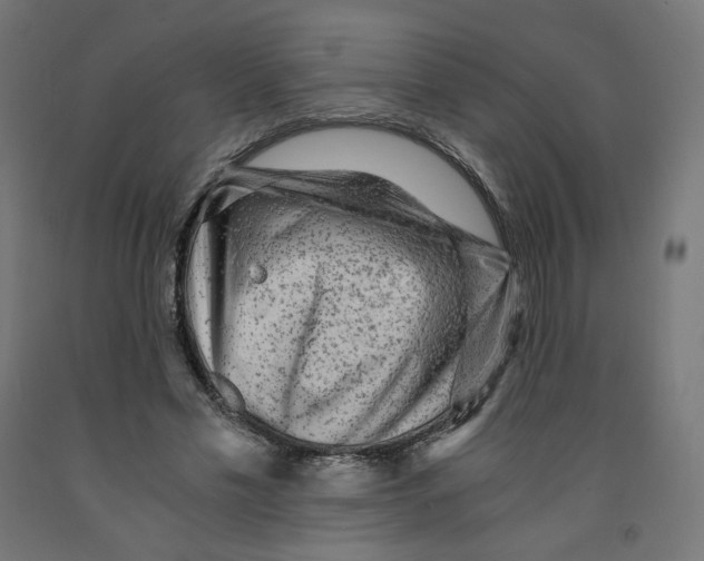 X0000091880589200710031743